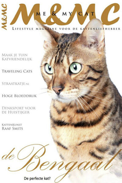 publicatie-magazines-groot