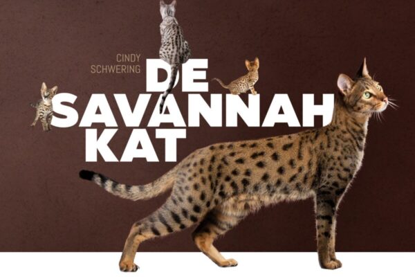 de_savannah_kat_cover_3